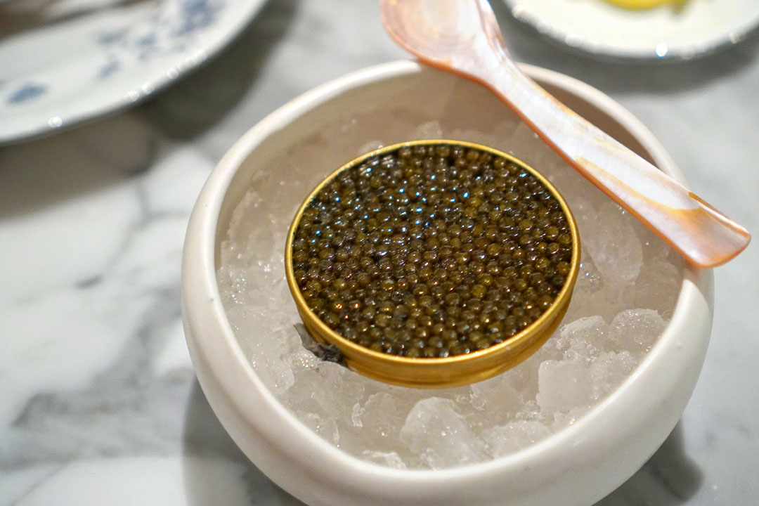 astrea kaluga caviar