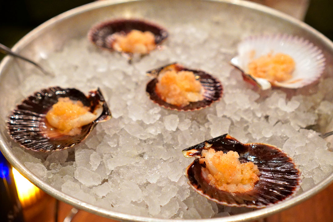 Scallop on the Half Shell