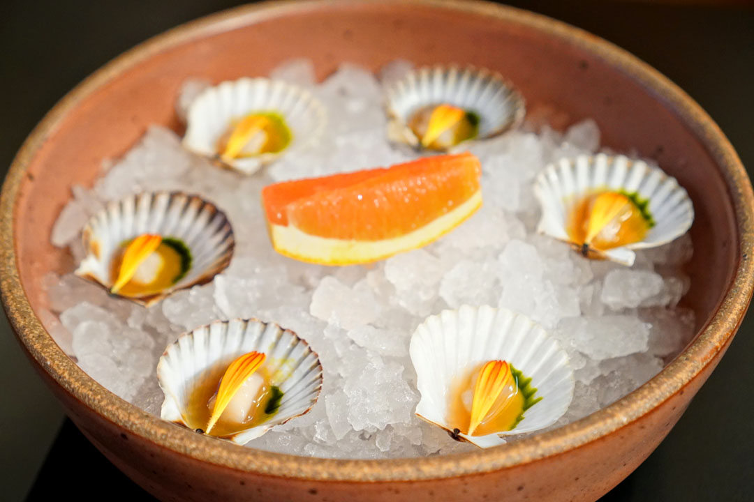 Bay Scallop