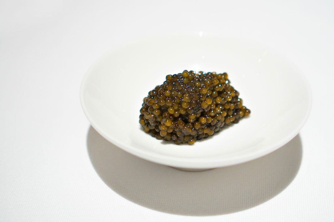 Caviar