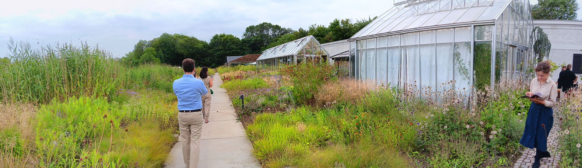 Leaving the Greenhouse