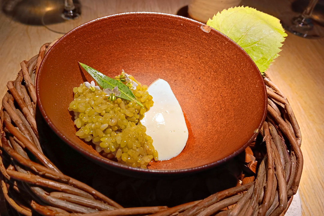 Green soy tofu with green rice