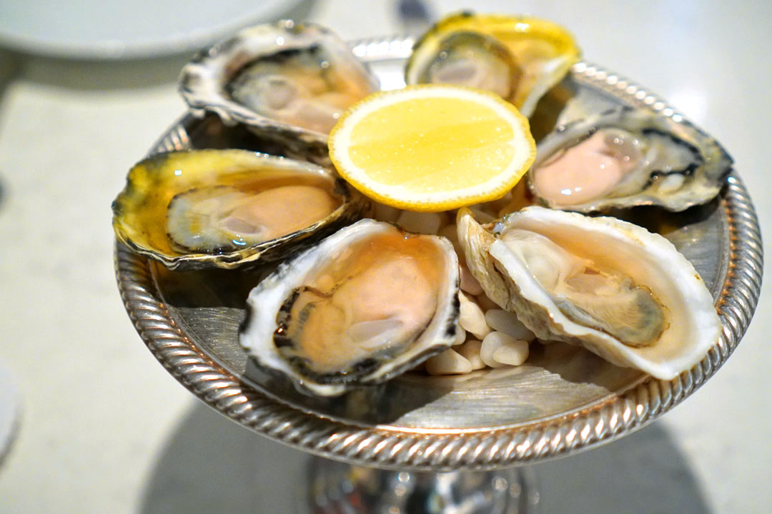 oysters