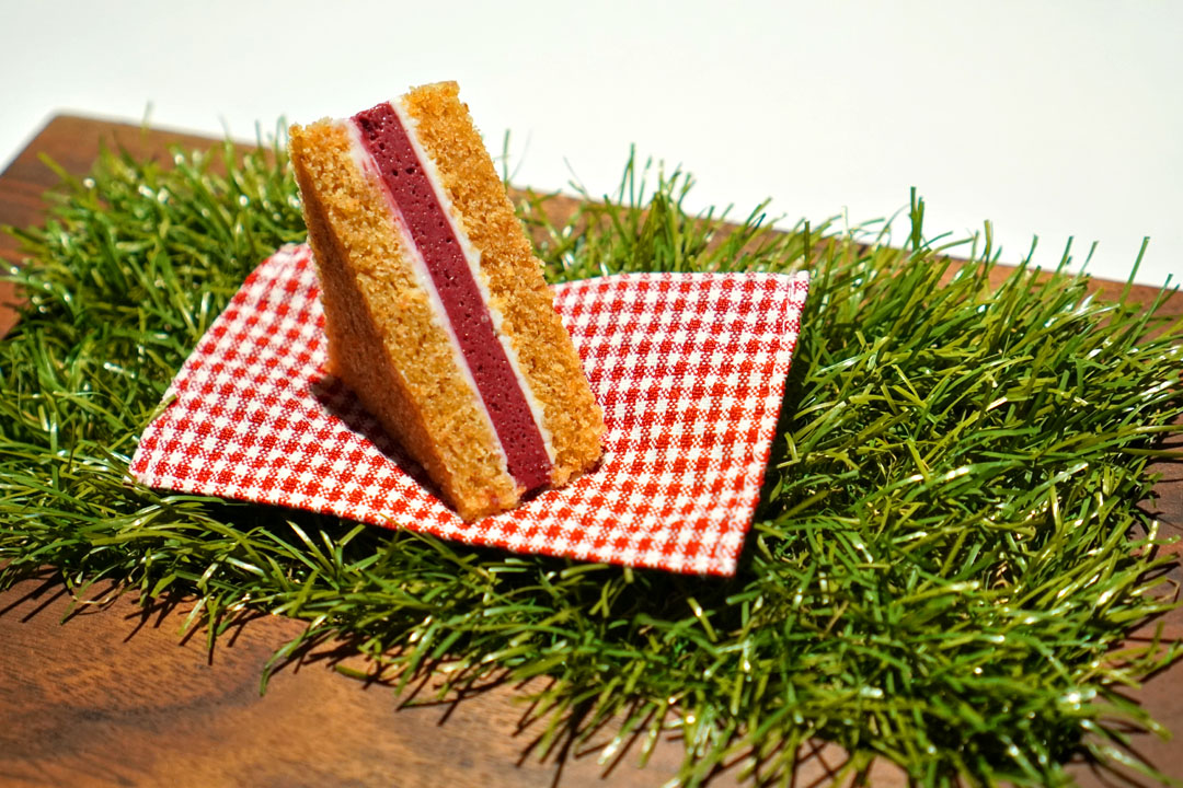 A Picnic (Jam Sandwich)
