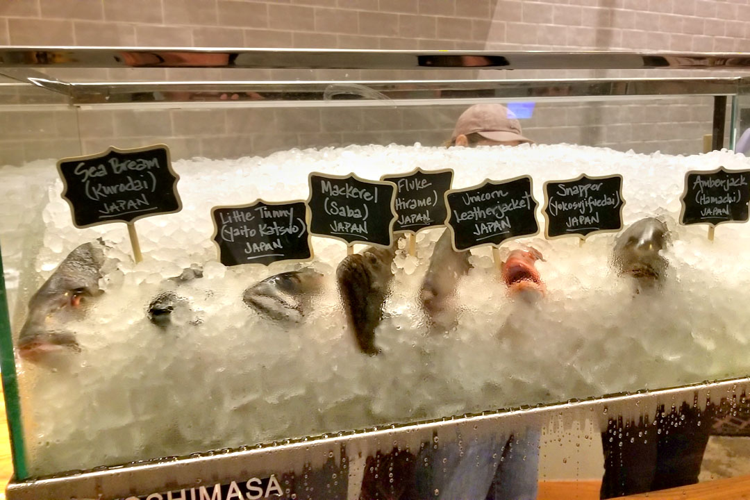 Causa Fish Market