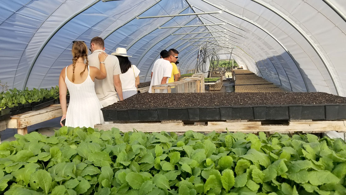 SingleThread Farm (Agriculture Tent)