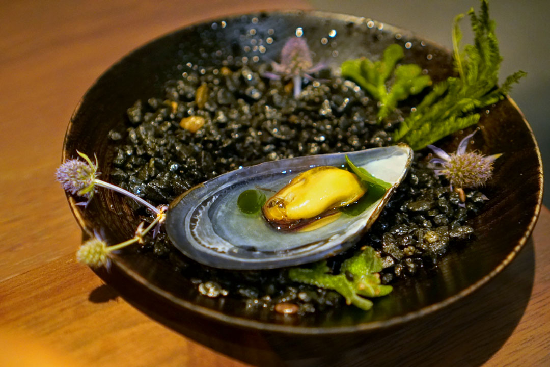 MID SUMMER IN SONOMA: Santa Barbara Honey Mussels, Dashi, Lemongrass