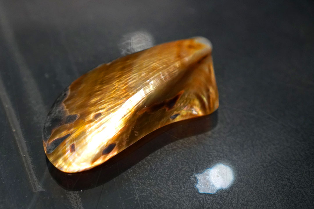 Mussel Spoon