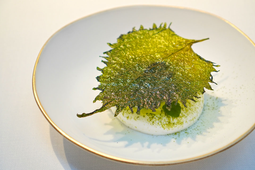 Shiso Leaf, Citrus, Green Tea, Yogurt and Herbs