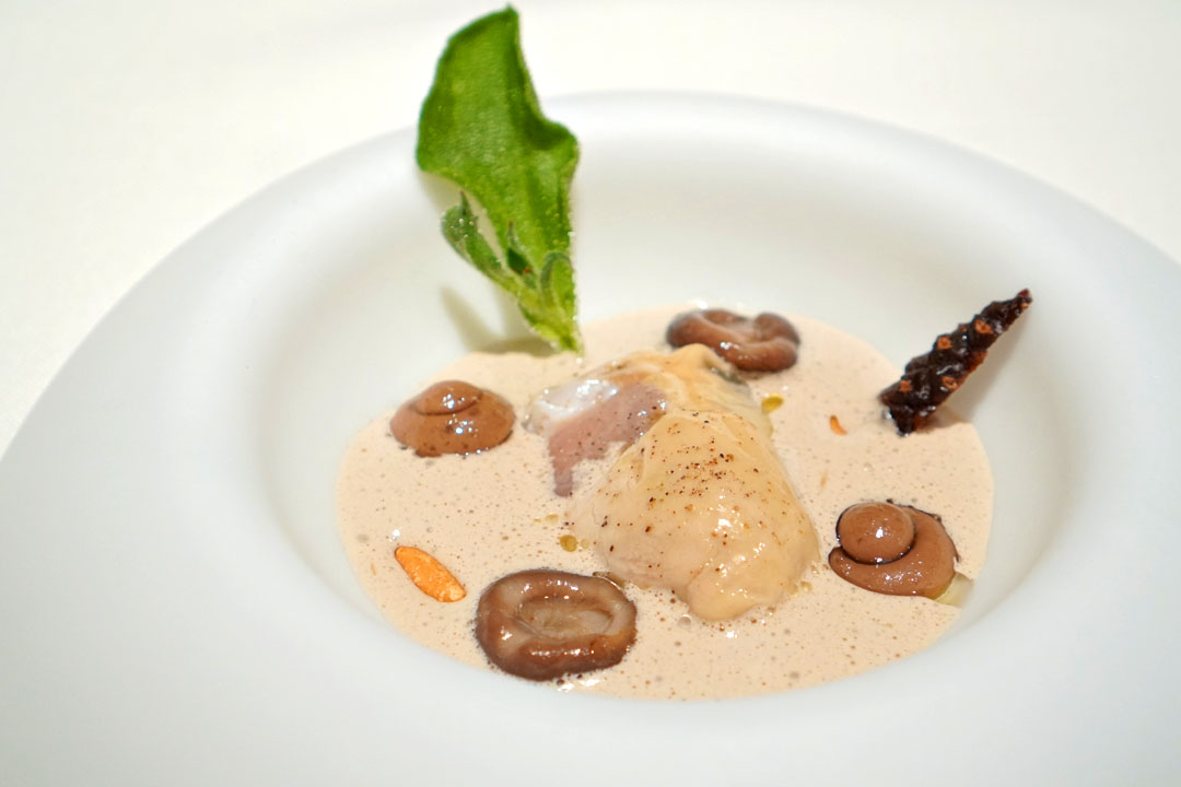 Marinated mushroom vinegar with oyster - 2022