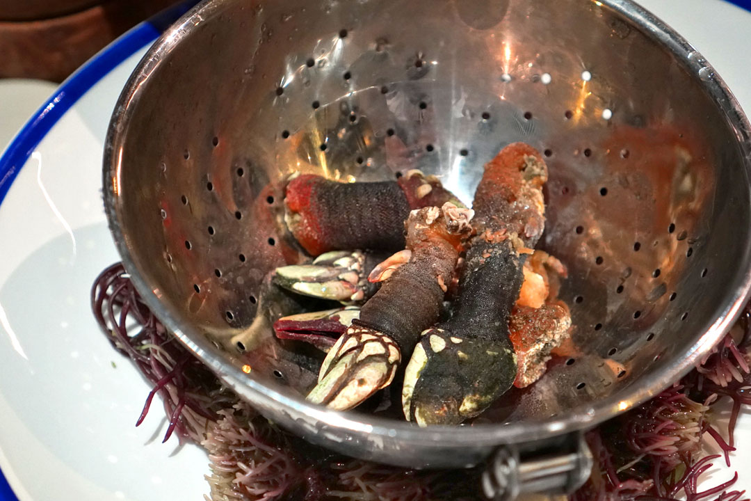 Percebes de Roncudo al vapor y vinagreta de laurel