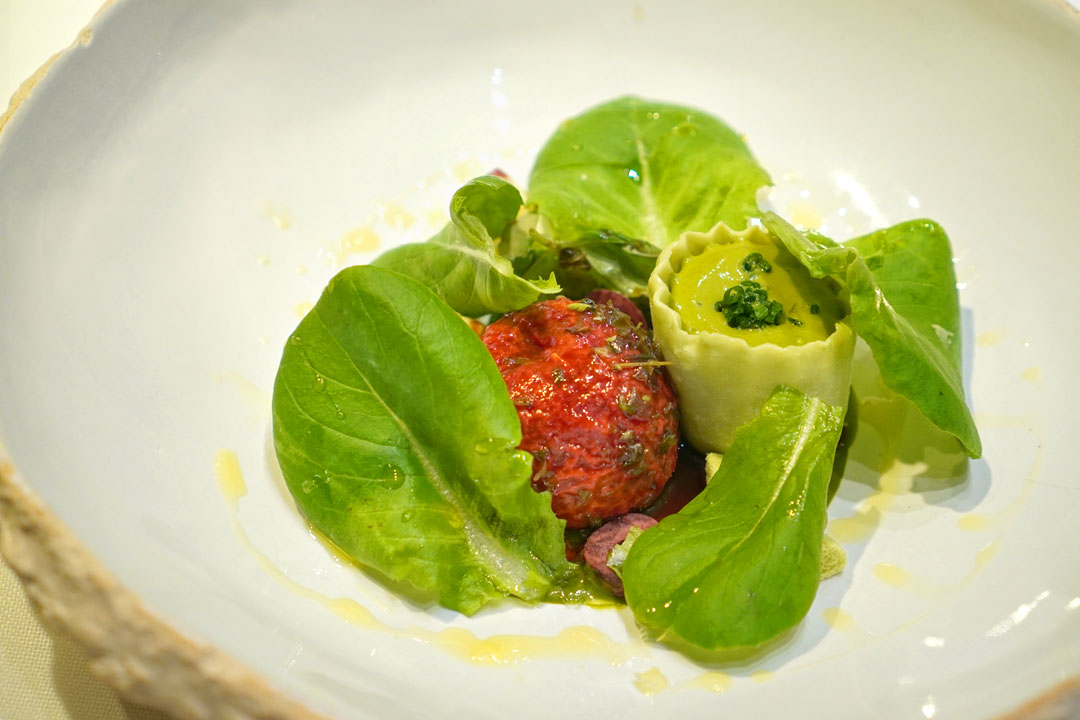 Mexican-style green salad and Greek-style preserved tomato with green tomato salad gazpacho and Caprese salad sprouts