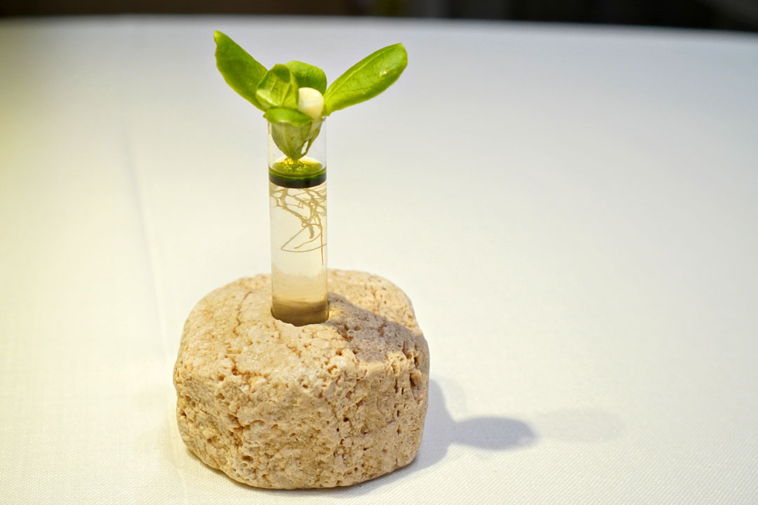 Caprese salad sprouts