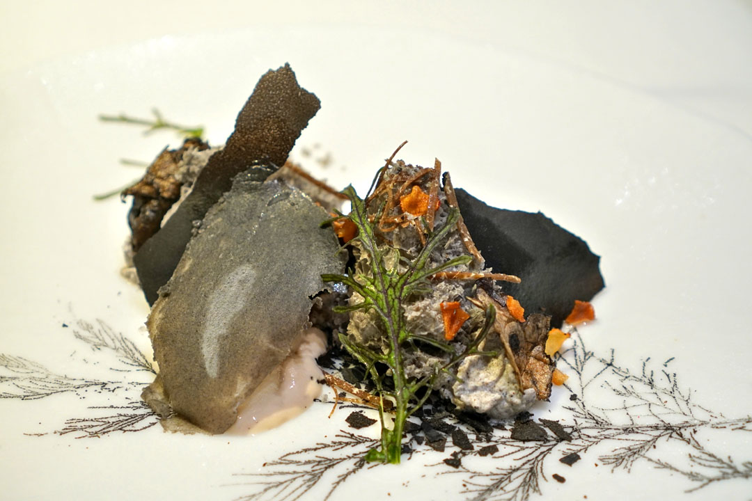 Scorched roots, seeds and bark, chervil ice-cream, smoked scamorza cheese and preserved truffles