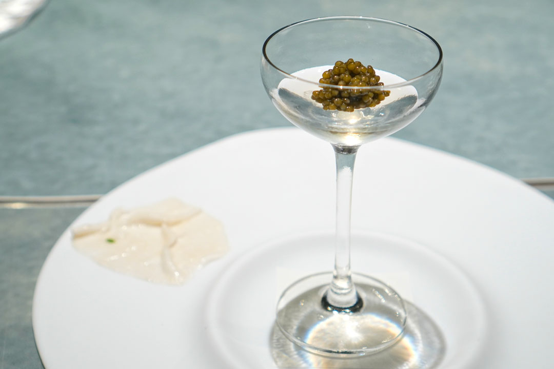 Coconut | Green coconut jelly water with Caluga caviar + Coconut | Slide of green coconut with ham fat