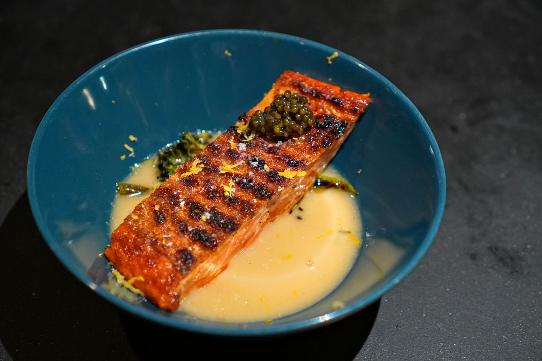 Ocean Trout