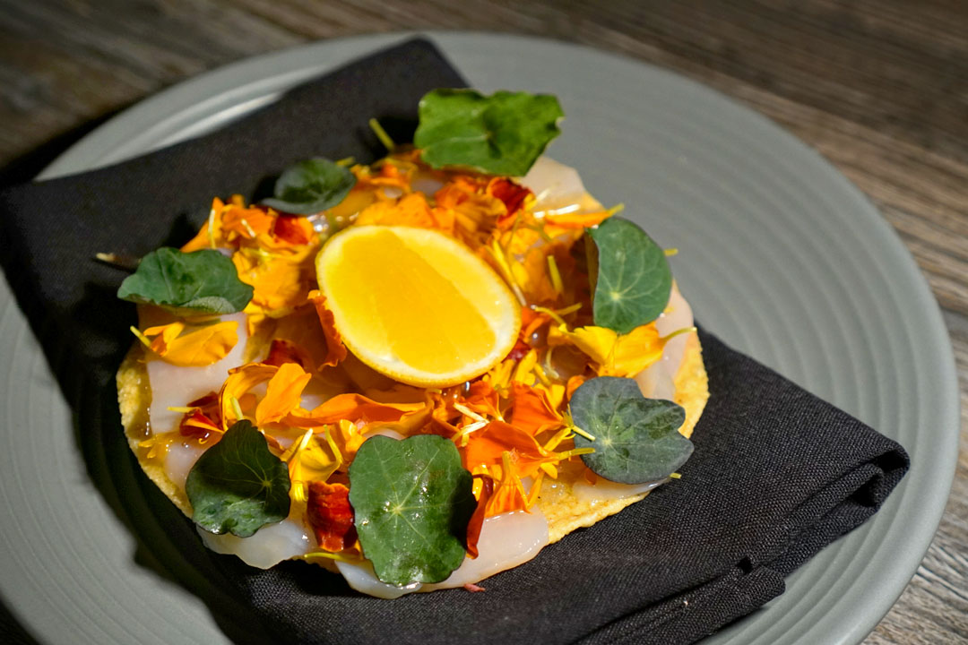 SCALLOP tostada, marigold vinaigrette, flowers