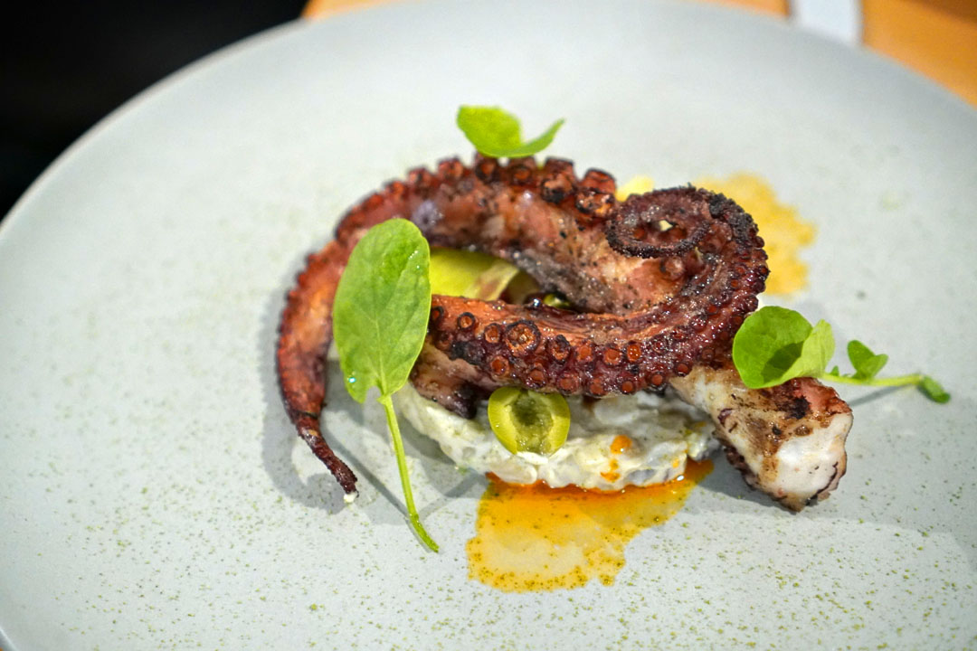 Mediterranean Octopus