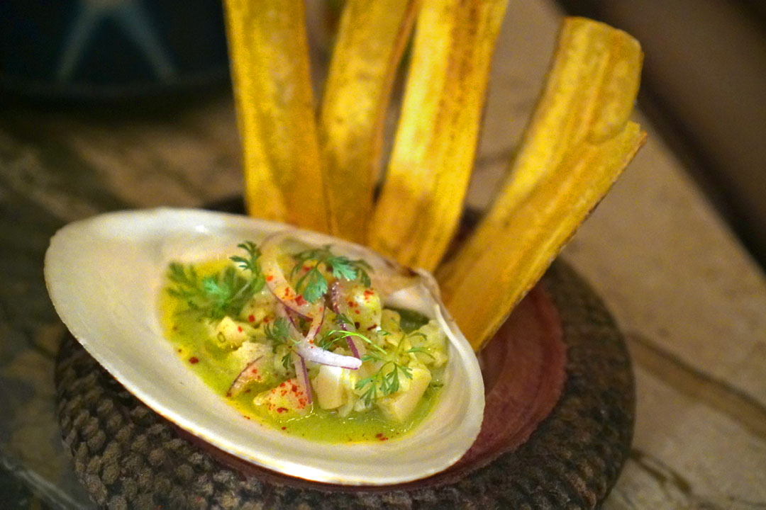 Surf Clam Ceviche