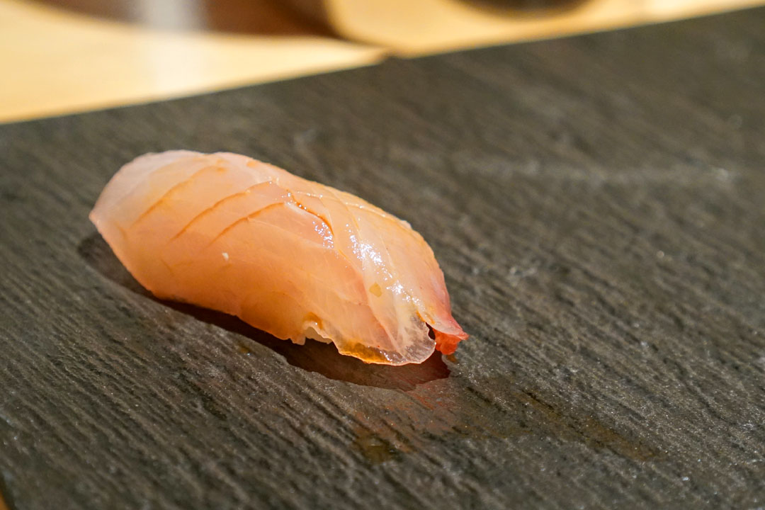 Shima Aji