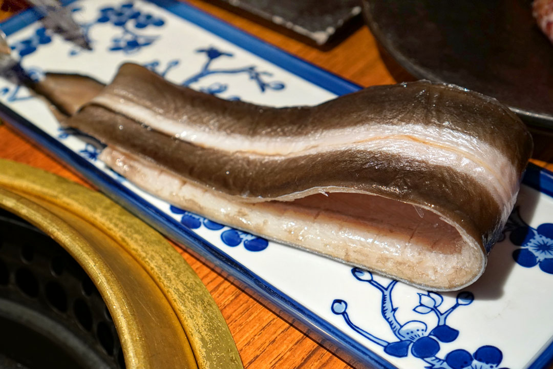 Salted Grilled Freshwater Eel