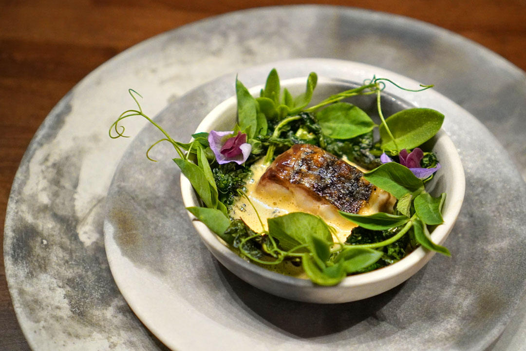 grilled bass, broccolini, stone rose leaf