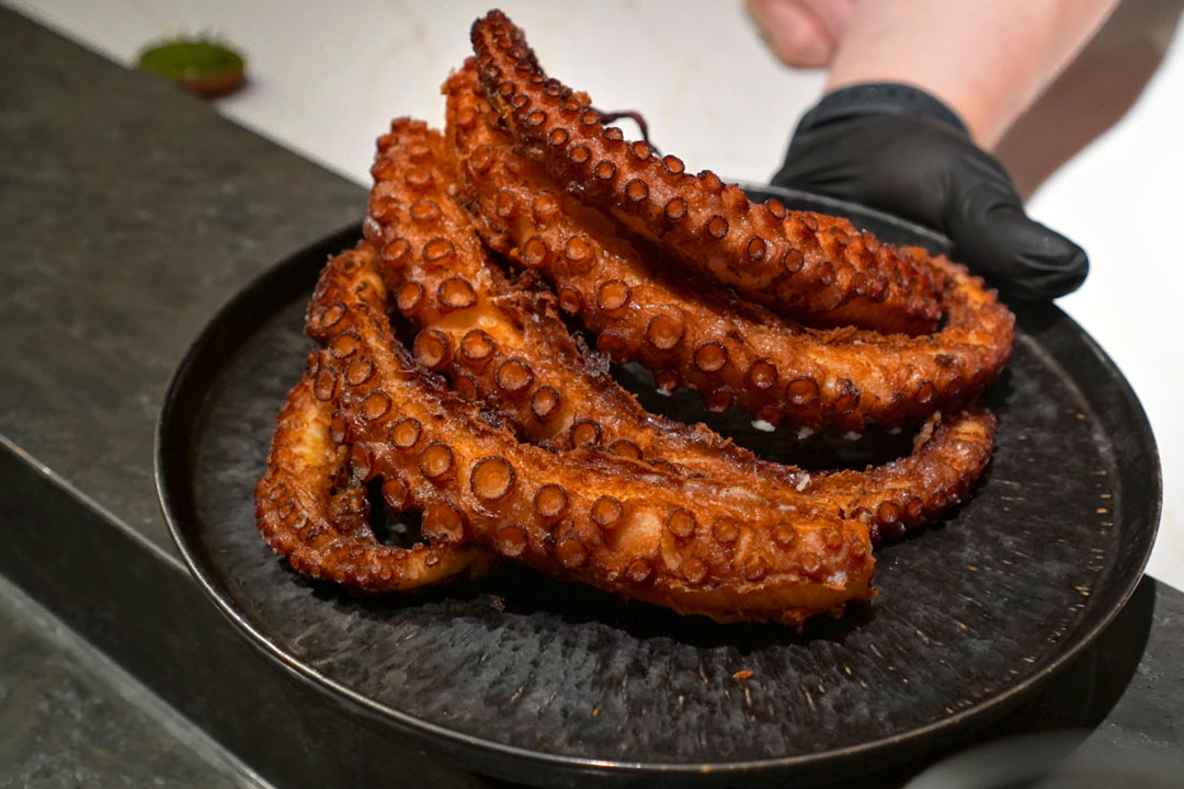 Octopus Legs