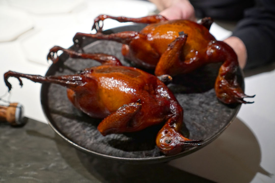Roasted Squabs