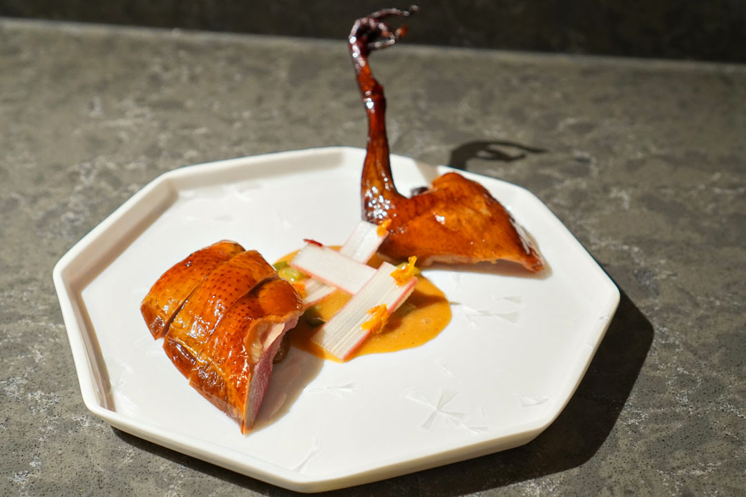 squab, maple, rhubarb