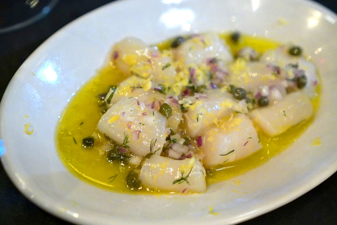 Bay Scallops