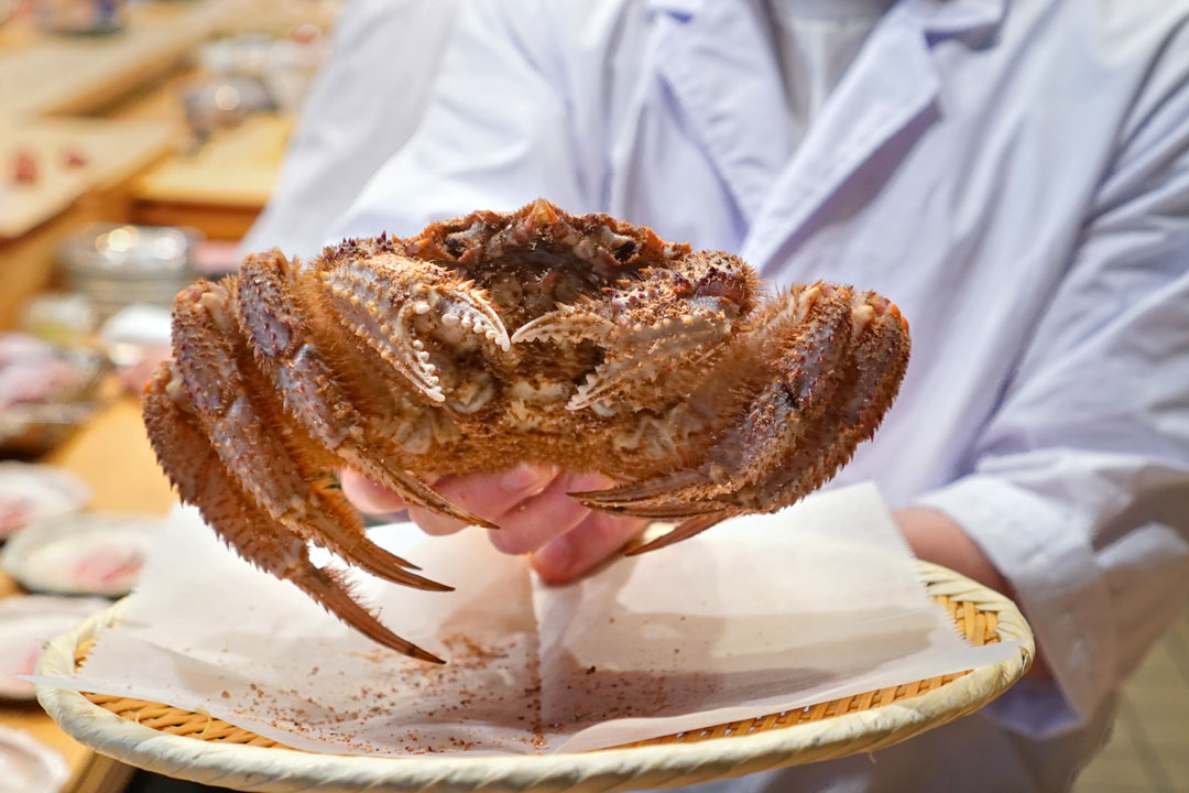 Horsehair Crab