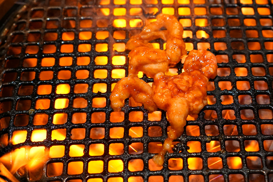Large Intestine – On the Grill