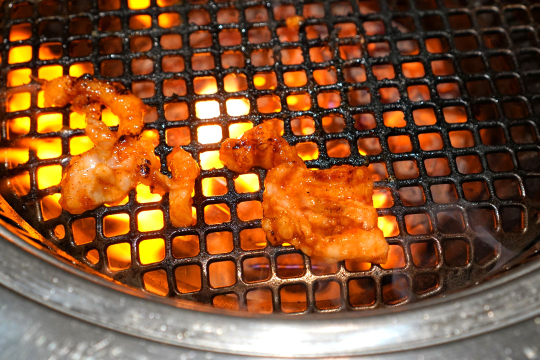 Large Intestine – Cooked