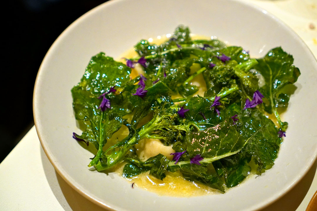 Ricotta Dumplings, Fontina Brodo, Broccolini