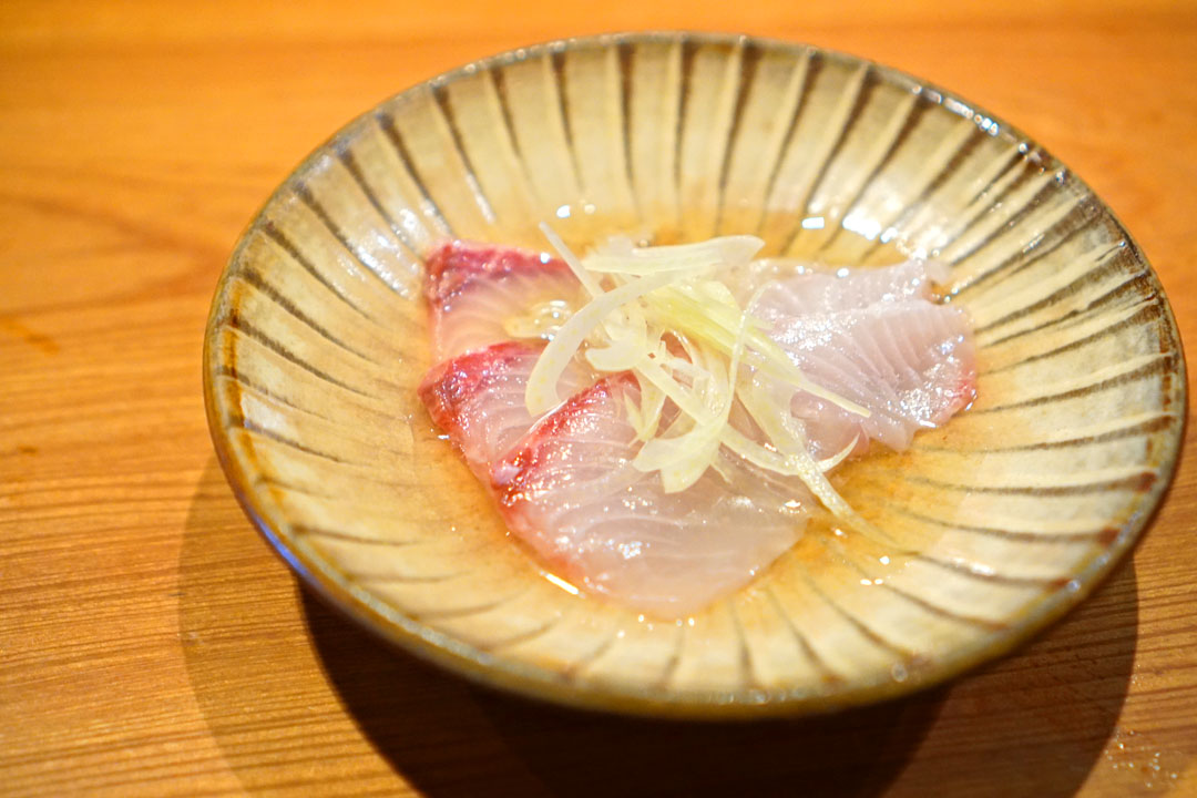 kanpachi amberjack